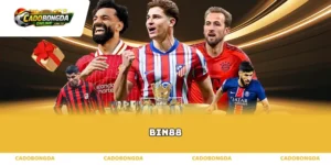 Khát vọng vươn tầm cùng hệ thống cược Bin88