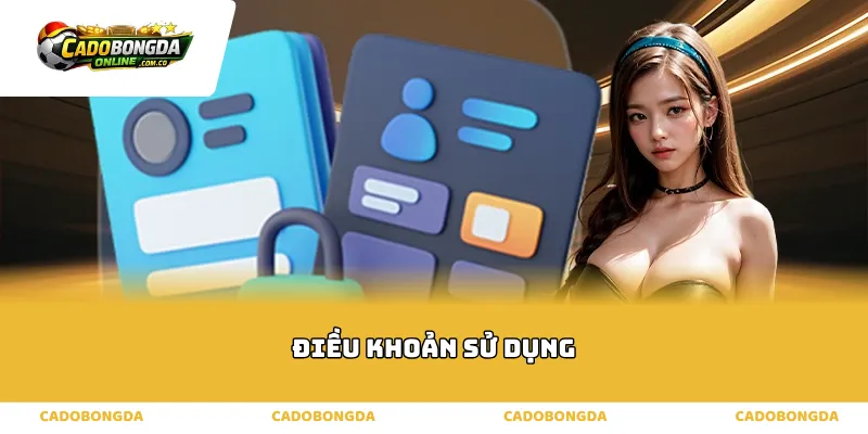 Quyền lợi hội viên trong Điều khoản sử dụng hệ thống