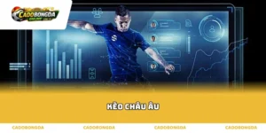 Bản chất và thuật toán xác suất của kèo châu Âu