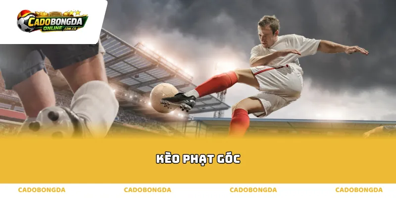 Bản chất và quy luật vận hành của kèo phạt góc