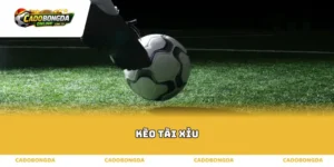 Bản chất và thuật toán tính điểm của kèo tài xỉu