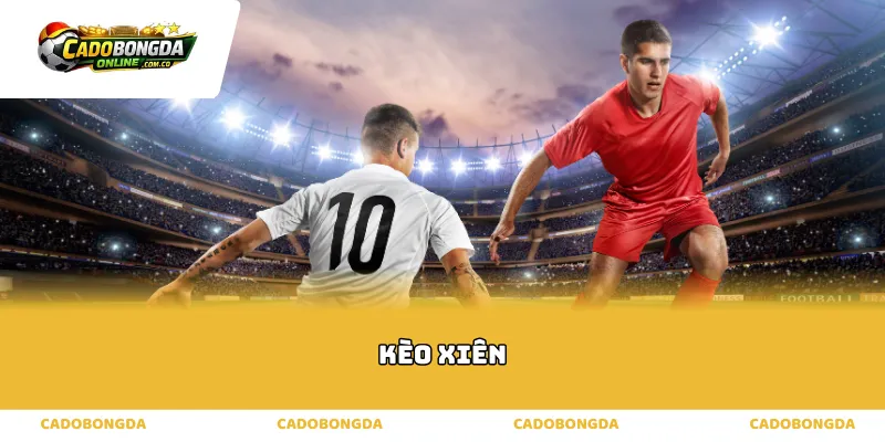 Cơ chế vận hành và tính toán tỷ lệ kèo xiên