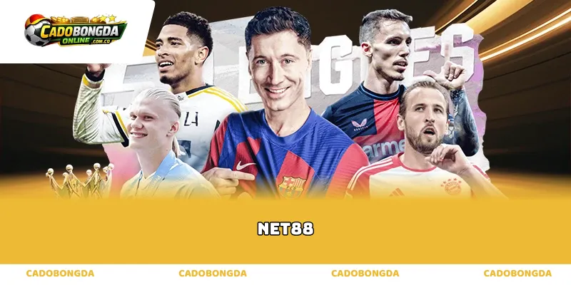 Phân tích tỷ lệ kèo và xác suất thắng tại Net88